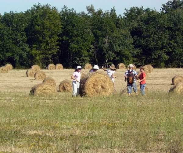 camp pour centre de loisirs